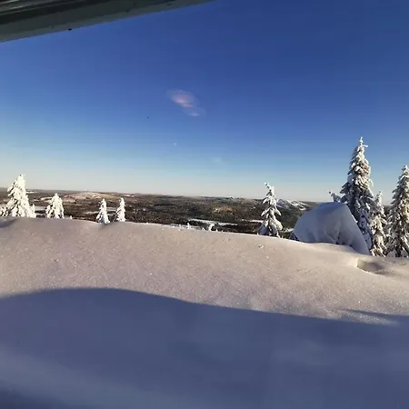 アパート Naekoealahuoneisto 413