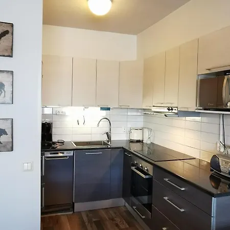 Naekoealahuoneisto 413