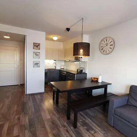 公寓 Naekoealahuoneisto 413 索特