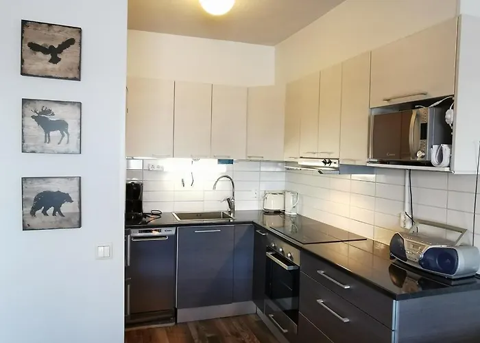 Naekoealahuoneisto 413