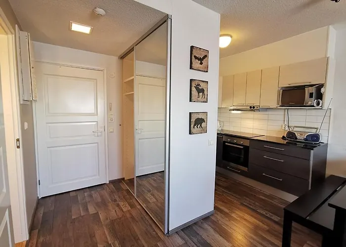 Naekoealahuoneisto 413 아파트 *