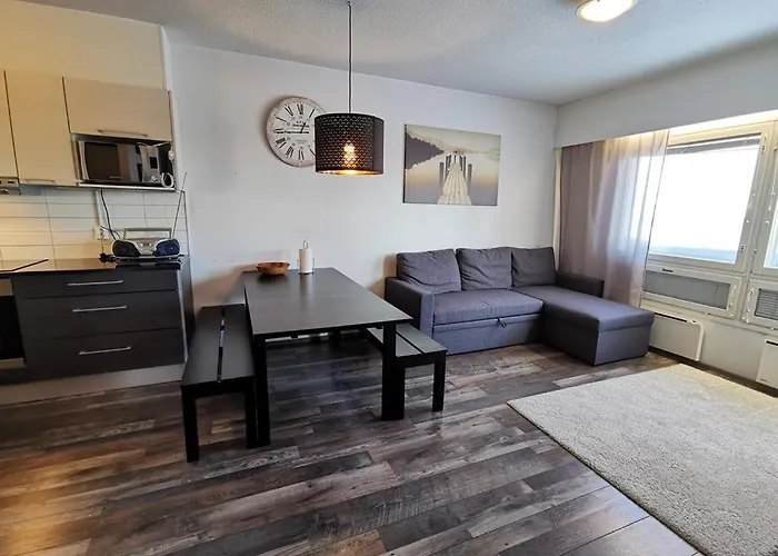 Naekoealahuoneisto 413 아파트