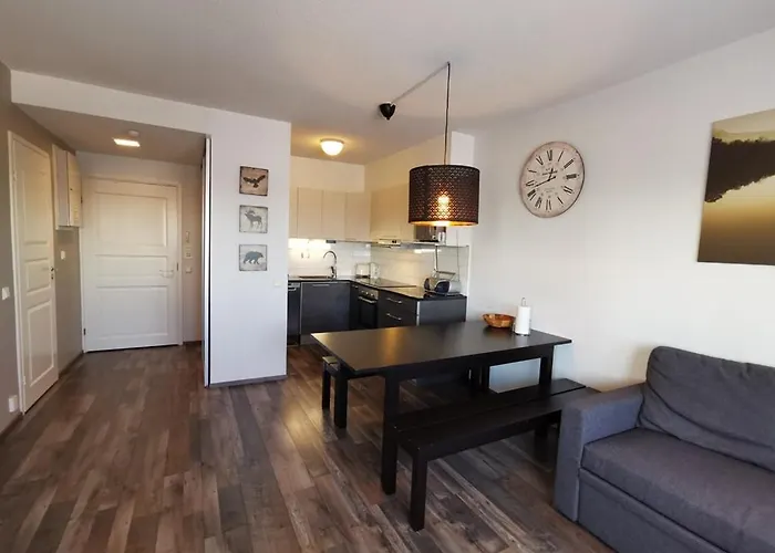 아파트 Naekoealahuoneisto 413 소티